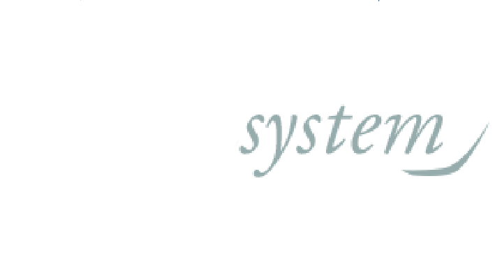 Metalsystem logo